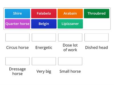 horse breeds