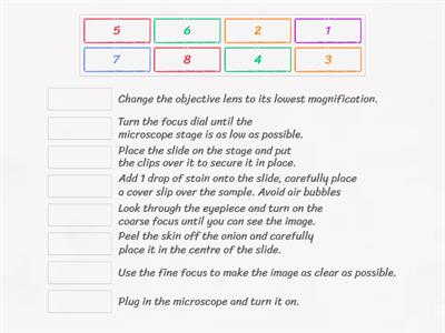 Steps for observing onion cells using a microscope