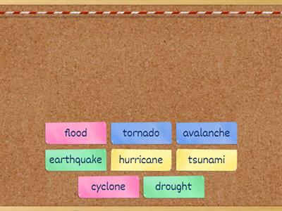 8 Spotlight 5a -6-Disasters