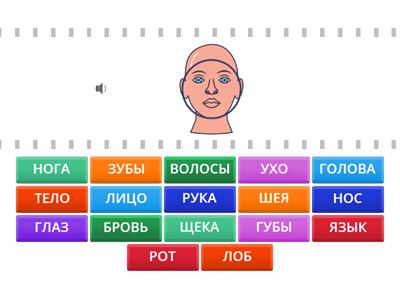 Y5 Parts of face/body