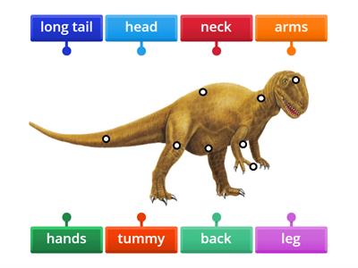 Label the dinosaur