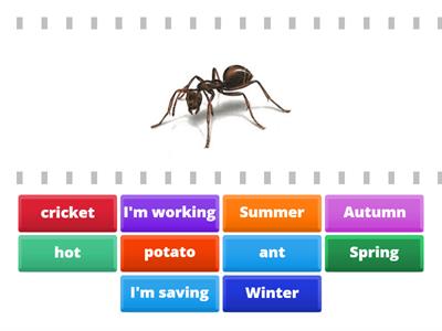 Unit 3  / Ant & Cricket - Lesson 1
