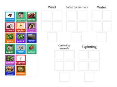 Sorting seed dispersal