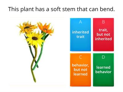 DIFFERENTIATING TRAITS AND BEHAVIORS