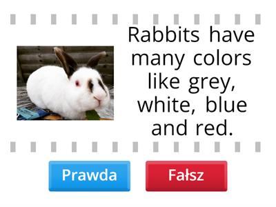 True or false - rabbits