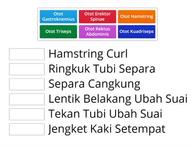 SENAMAN YANG DAPAT MENINGKATKAN KEKUATAN OTOT DAN DAYA TAHAN OTOT