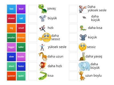 Adjectives (turkish)