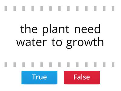 Plant life cycle 