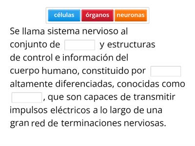 El sistema nervioso