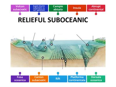 Relieful suboceanic