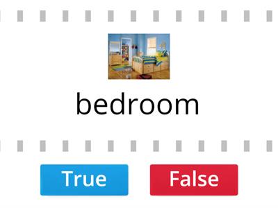 Fun for Movers At Home _True/ false