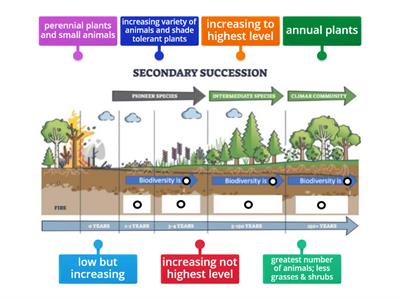 Secondary Succession