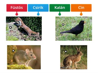 3. a. - Vuk 3. részében szereplő állatok elnevezései