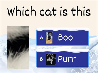 Boo and Purr quiz