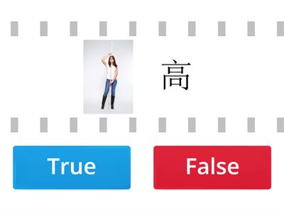 Adjectives True or False for stage 1