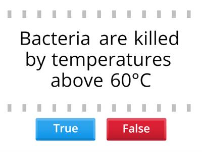 Bacteria and High Temperatures:
