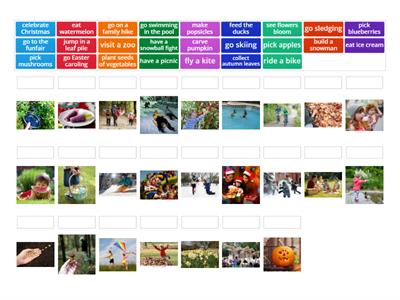 Activities in different seasons