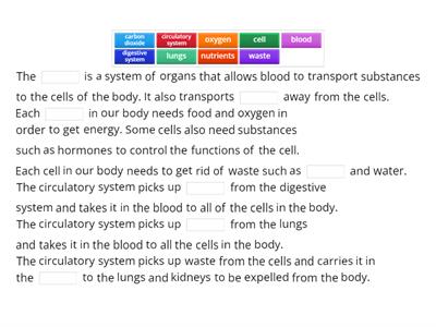 Why do we need a circulatory system?