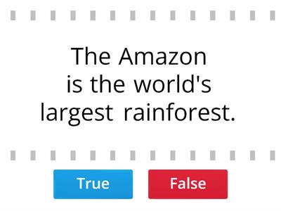 Rainforest recap true or false