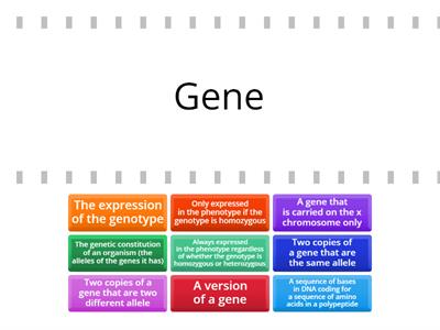 Genetic Terminology