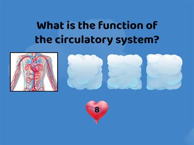 Circulatory system - REVIEW