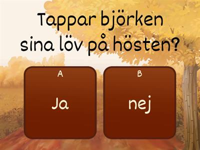 Naturen på hösten quiz