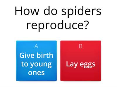Spiders Facts  https://youtu.be/WUx2qqPUyOI