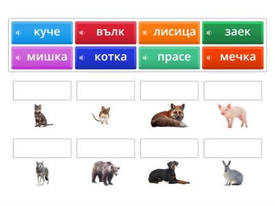 Bulgarian for Mama & Me | Animals 1