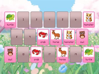 K1 Review Animals