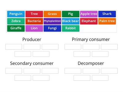 Food Chain