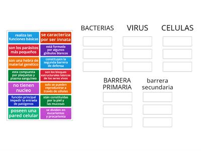 ven a jugar conmigo (bacterias,virus, celulas, barrera primaria y secundaria)