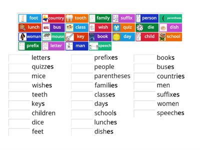 Singular and plural nouns 