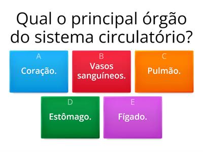 Sistema Circulatório - Recursos De Ensino