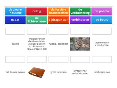 Taal woordenschat Blok 2 Hoofdstuk 3