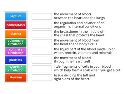 Circulatory Vocabulary