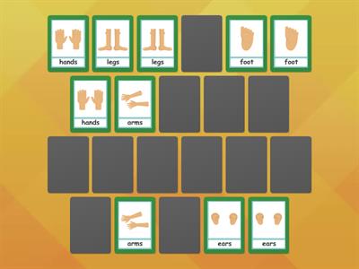 Parts of the body | Pairs and differentiate