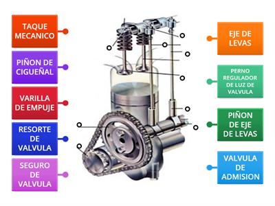 DISTRIBUCION DIRECTA 1