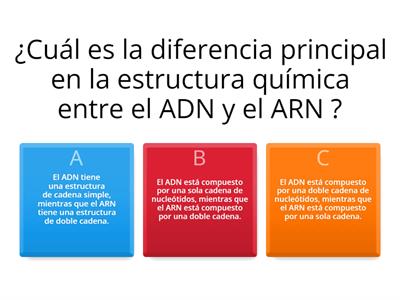 ADN Y ARN