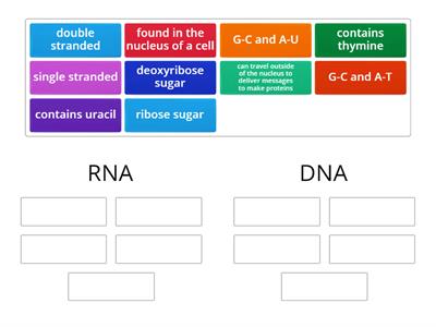 Compare and Contrast Nucleic Acids