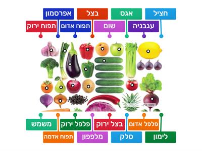 ירקות ופירות - מרכז אריאדנה 