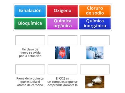 Ramas de la química