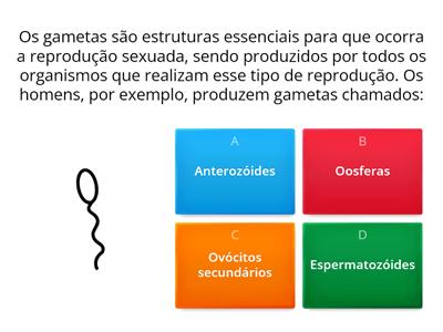 Quiz Reprodução