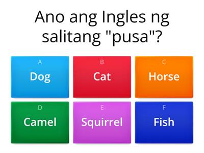 Tagalog to English / English to Tagalog Quiz