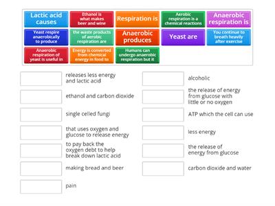 1 Fundamental Biology Part 5 Respiration