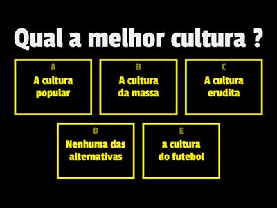  Diferenças culturais e etnico raciais  