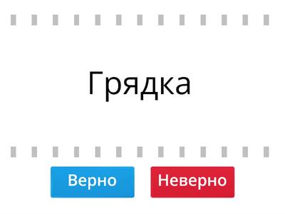 Орфограмма: парные согласные в корне слова