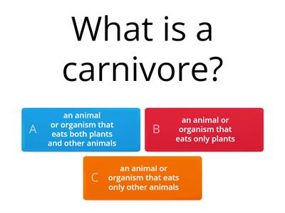 Science - food chain vocabulary