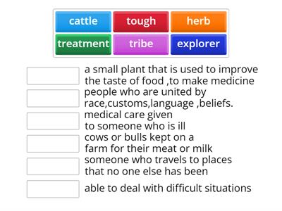 vocabulary 2 unit 2 8th grade 