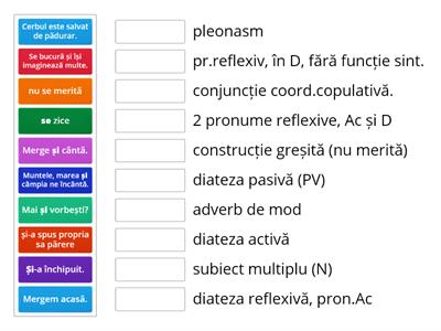 mai ales pronume reflexive