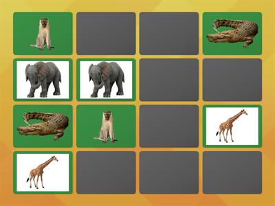 Wild Animals Memory Game